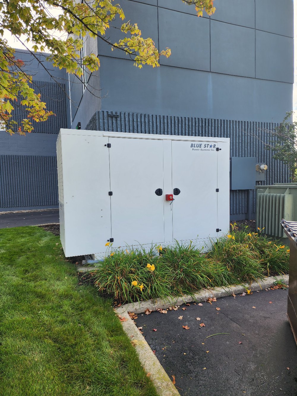 Blue Star Installation