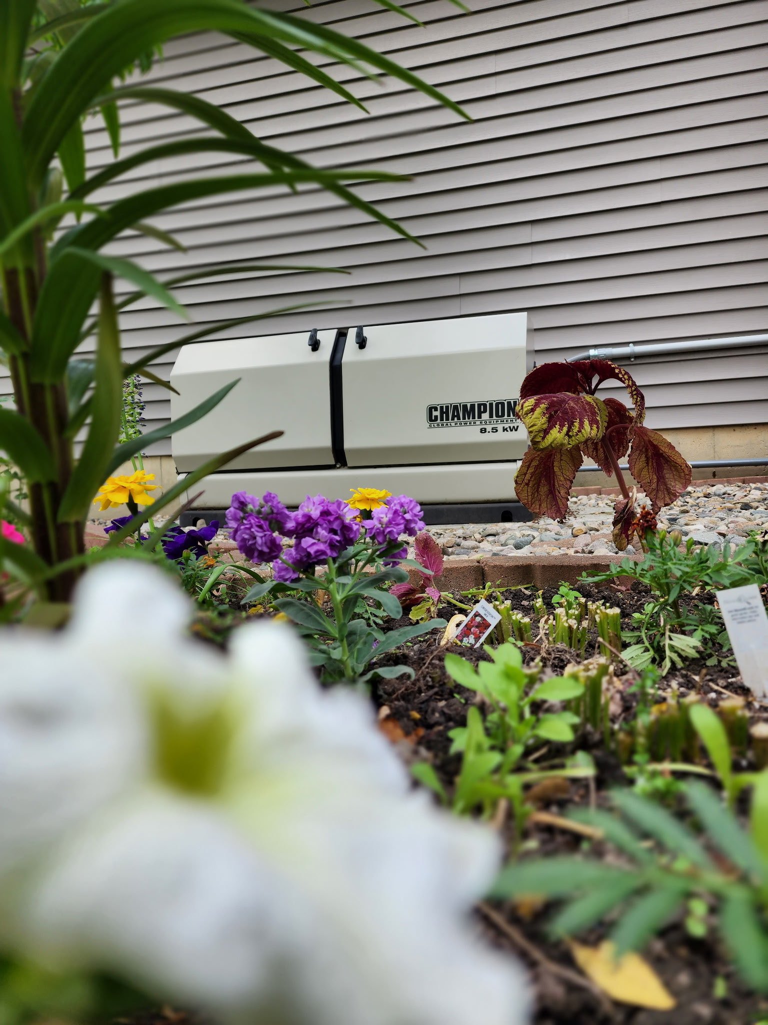 Champion Installation